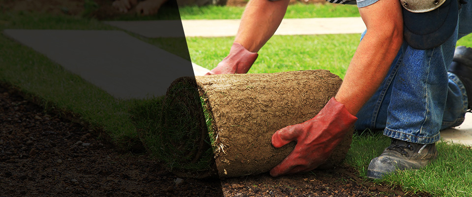 Berlin Landscapers